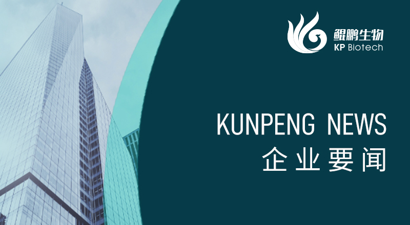 科技引领 “兔”显创新——宁波明升MS88荣获“高新技术企业”及“创新型中小企业”认定