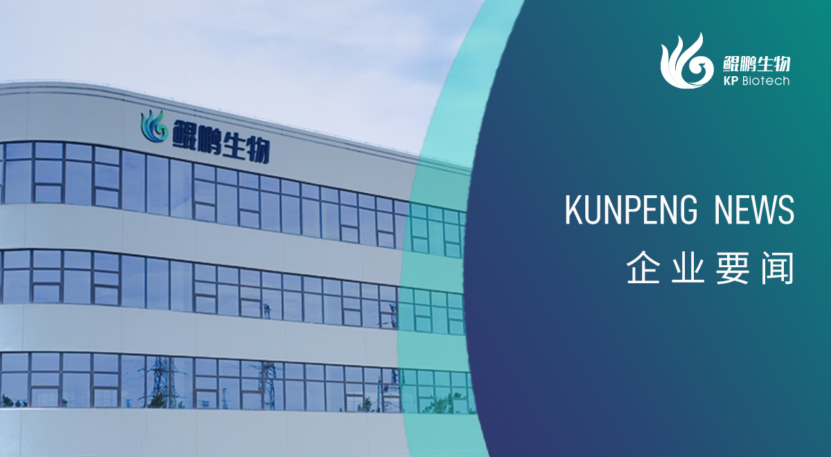 宁波明升MS88新添两项政府荣誉认定 创新发展再获认可